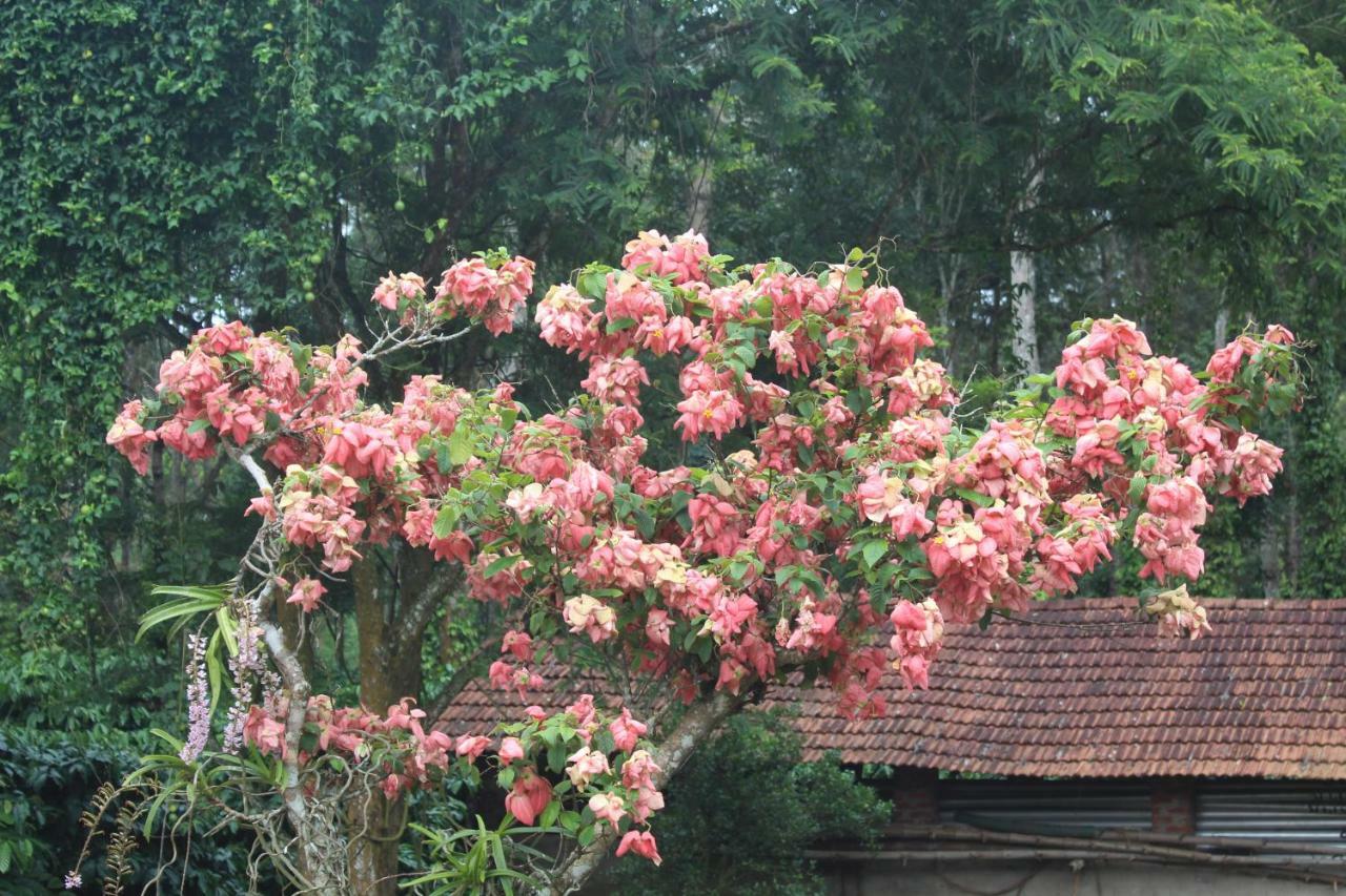 Whistling Woods Farm Stay Kushālnagar 外观 照片